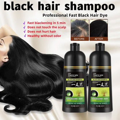 Herbal Hair Dye Shampoo – Natural Colour, Healthy Shine